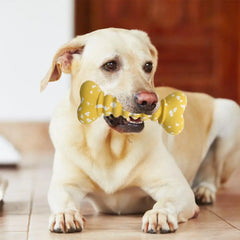 Dog Rubber Bone Chew Toys Funny Bite-resistant Bone-shaped Balls Dog Fetch Toy Interactive Fetch Throw Toys In Vibrant Colors