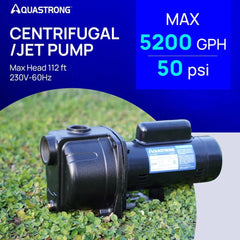2 Centrifugal/Jet Pump, 5200 GPH, 230V, Durable Cast Iron Pump for Lawn Sprinkler and Irrigation