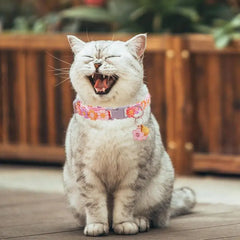 Kitten Collar Breakaway Adjustable Dog Collar with Bell Pet Supplies Cat Accessories Cute Kitten Costume Neck Decor for Puppy
