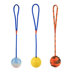 Rubber Interactive Training Toy Dog Dogs Pet Reward For Toy On Supplies Rope Funny Natural Dog Fetch Training Play Ball