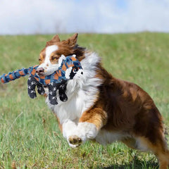 Chew Toys For Puppy Tough Squeaky Teeth Toys For Pet Puppy Interactive Stuffed Dog Chew Toys For Small Medium Large Dogs