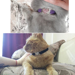 Heart Charm and Bell Cat Collar Safety Elastic Adjustable with Soft Velvet Material 5 colors pet Product small dog collar Gatos
