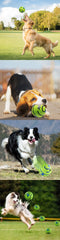 New Hot Wobble Wag Giggle Glow Ball Interactive Dog Attention Toy Fun Giggle Sounds Ball When Rolled or Shaken for Pet Dog Fun