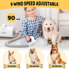 Pet Dog Hair Dryer, 4-in-1 Grooming Tool with 90m/s High-Speed and Temperature Control