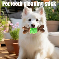 Spiky Bone Dog Toy Pet Teething Chew Toys Sturdy Toothbrush Stick Teeth Cleaning Brush Treat Dispensing Aggressive Chewers Tough