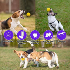 Tough and Durable Large Dog Balls - Set of 2 Indestructible Tennis Balls for Aggressive Chewers, Interactive Water Toy Ball for