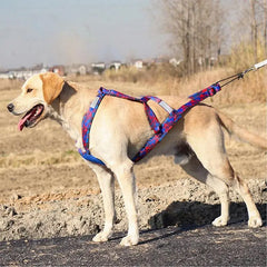 Dog Running Harness Sport Work Out Bikejoring Skijoring Speed Training Dog Pulling Harness Harness Sled Harness