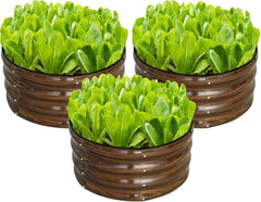 3 Pcs 2x2x1ft Round Galvanized Raised Garden Bed Kit Outdoor, Metal Planter Box for Planting Plants Vegetables, White
