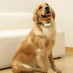 Bark Collar For Large Dog Anti Barking Training Collar IP67 Waterproof Rechargeable Anti Bark Collars With 7 Adjustable