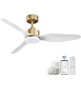 52 "Smart Low Profile ceiling Fans with Lights Remote,Quiet DC Motor,Outdoor Indoor Flush Mount Fan,Control WIFIAle