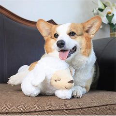 Pet Toy Dogs Plush Toy Comfortable Behavioral Training Aid Toy Heart Beat  Heating Soothing Plush Doll Sleep For Smart Cats Play