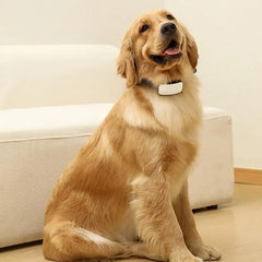 Bark Collar For Large Dog Anti Barking Training Collar IP67 Waterproof Rechargeable Anti Bark Collars With 7 Adjustable