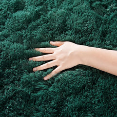 Area Rugs for Living Room  Rugs for Bedroom 6x9 Carpet Fluffy Fuzzy Soft Shag Aesthetic Plush High Pile Throw Rug for Nursery