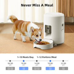 2L Camera Pet Feeder Timing 5V USB Smart Automatic Feeder For Cat WIFI APP Video Intelligent Dry Food Dispenser Dog Feeding Bowl
