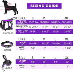 Pet Harness Collar and Leash Set All-in-one Reflective Dog Harness No Pull with Adjustable Buckles for Puppies Small Medium