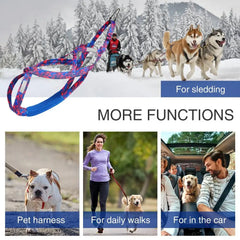 Dog Running Harness Sport Work Out Bikejoring Skijoring Speed Training Dog Pulling Harness Harness Sled Harness