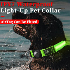 Luminous Cat Necklace Glowing Dog Cat Collar Anti-Loss Fluorescent Cat Collar Neck Pet Accessories Walking Night Safety Supplies