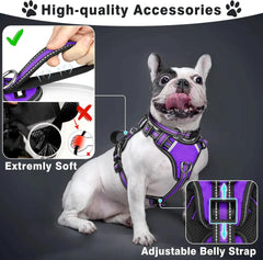 Pet Harness Collar and Leash Set All-in-one Reflective Dog Harness No Pull with Adjustable Buckles for Puppies Small Medium
