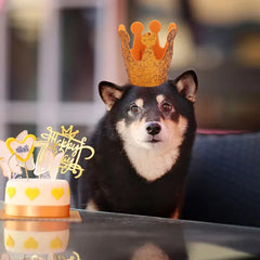 Pet Hat Dog Birthday Crown Cat Birthday Party Dress Up Crown Hat Dog Pumpkin Hat Sequin Headwear Cap Hat Festival Pet Supplies