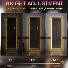 Full Length Mirror with RGB Lights, Full Body Lighted Mirror with Crushed Diamond, Free Standing Floor LED Mirror, Wall Mounted