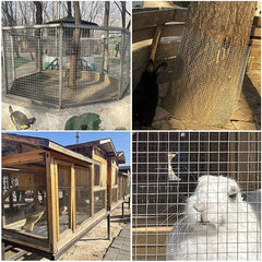 Hot-Dipped Galvanized Welded Wire Mesh 1x25m Roll,Steel Fencing for Construction,Animal Enclosures,Poultry Netting,Garden Securi