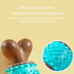 Spiky Bone Dog Toy Pet Teething Chew Toys Sturdy Toothbrush Stick Teeth Cleaning Brush Treat Dispensing Aggressive Chewers Tough