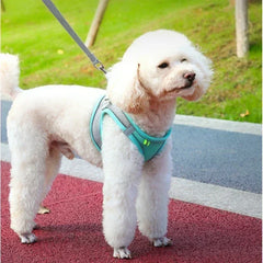 Vest Walking Traction Rope Cat Harness with Reflective Strip Dog Collar Breathable Mesh Harness for Small Medium Pet Cat Dog