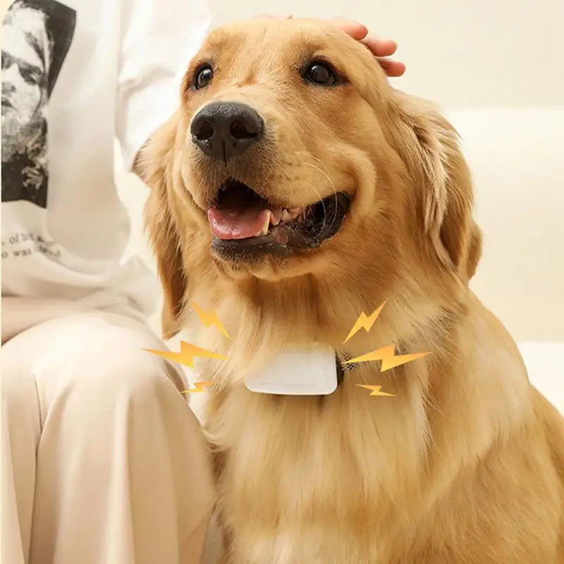 Bark Collar For Large Dog Anti Barking Training Collar IP67 Waterproof Rechargeable Anti Bark Collars With 7 Adjustable