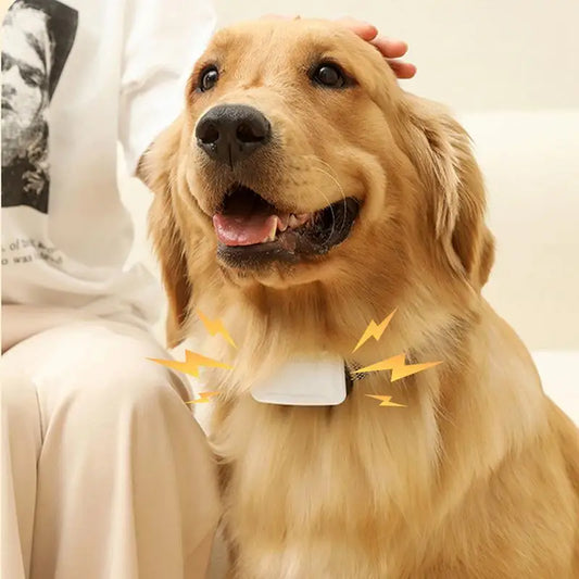 Bark Collar For Large Dog Anti Barking Training Collar IP67 Waterproof Rechargeable Anti Bark Collars With 7 Adjustable