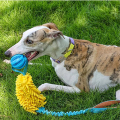 Dog Toy Rope Fun Squeaky Dog Chew Toys Pet Supplies Puppy Rope Toy with Elastic Drawstring Interactive Puppy Teething Toy for