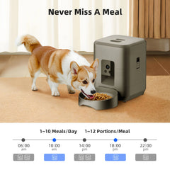 2L Camera Pet Feeder Timing 5V USB Smart Automatic Feeder For Cat WIFI APP Video Intelligent Dry Food Dispenser Dog Feeding Bowl