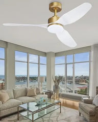 52 "Smart Low Profile ceiling Fans with Lights Remote,Quiet DC Motor,Outdoor Indoor Flush Mount Fan,Control WIFIAle