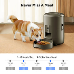2L Camera Pet Feeder Timing 5V USB Smart Automatic Feeder For Cat WIFI APP Video Intelligent Dry Food Dispenser Dog Feeding Bowl
