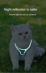 Vest Walking Traction Rope Cat Harness with Reflective Strip Dog Collar Breathable Mesh Harness for Small Medium Pet Cat Dog