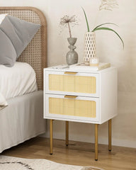 Nightstand with Charging Station, 2 Drawer Dresser for Bedroom, Small Bedside Table