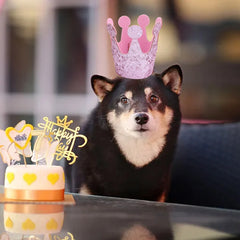 Pet Hat Dog Birthday Crown Cat Birthday Party Dress Up Crown Hat Dog Pumpkin Hat Sequin Headwear Cap Hat Festival Pet Supplies