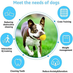 Tough and Durable Large Dog Balls - Set of 2 Indestructible Tennis Balls for Aggressive Chewers, Interactive Water Toy Ball for