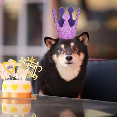 Pet Hat Dog Birthday Crown Cat Birthday Party Dress Up Crown Hat Dog Pumpkin Hat Sequin Headwear Cap Hat Festival Pet Supplies