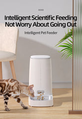 ROJECO Automatic Cat Feeder Pet Smart WiFi Cat Food Kibble Dispenser Remote Control Auto Feeder For Cat Dog Dry Food Accessories