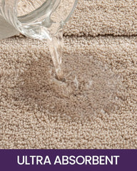 Bathroom Rug Mat 36x24, Ultra Soft Absorbent Mats, Non Slip Washable Shower Floor Rugs, Quick Dry Microfiber Bathmat for Tub, Si