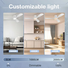 52 "Smart Low Profile ceiling Fans with Lights Remote,Quiet DC Motor,Outdoor Indoor Flush Mount Fan,Control WIFIAle
