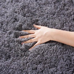 Area Rugs for Living Room  Rugs for Bedroom 6x9 Carpet Fluffy Fuzzy Soft Shag Aesthetic Plush High Pile Throw Rug for Nursery