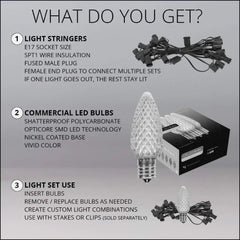 String Lights Warm White LED Commercial Outdoor Christmas Lights Christmas String Lights; Green Wire (100 Lights, 100 ft)