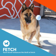 Vibrant Life 3 Pack Fetch Balls Dog Toy