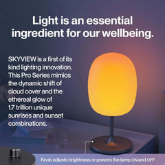 Wellness Table Lamp 2 Pro, Improves Focus, Boosts Mood, and Helps You Sleep Better,Indoor Lighting