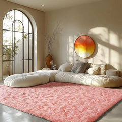 Area Rugs for Living Room  Rugs for Bedroom 6x9 Carpet Fluffy Fuzzy Soft Shag Aesthetic Plush High Pile Throw Rug for Nursery