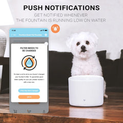 Smart Automatic Pet Water Fountain Cats Dogs App Control Ultra Quiet Filtration System Fresh Water Dispenser