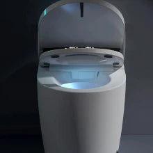 Smart Toilet,One Piece Bidet Toilet for Bathroom ,Warm Water and Dry,Heated Seat,Foot Sensor and Night Light, Auto Flush