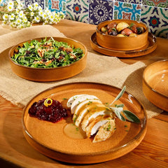 Oprah's Favorite Things - Santorini Mist Double Bowl Terracotta Reactive Glaze Plates and Bowls Dinnerware Set - Amber
