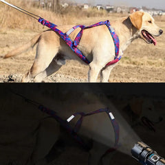 Dog Running Harness Sport Work Out Bikejoring Skijoring Speed Training Dog Pulling Harness Harness Sled Harness